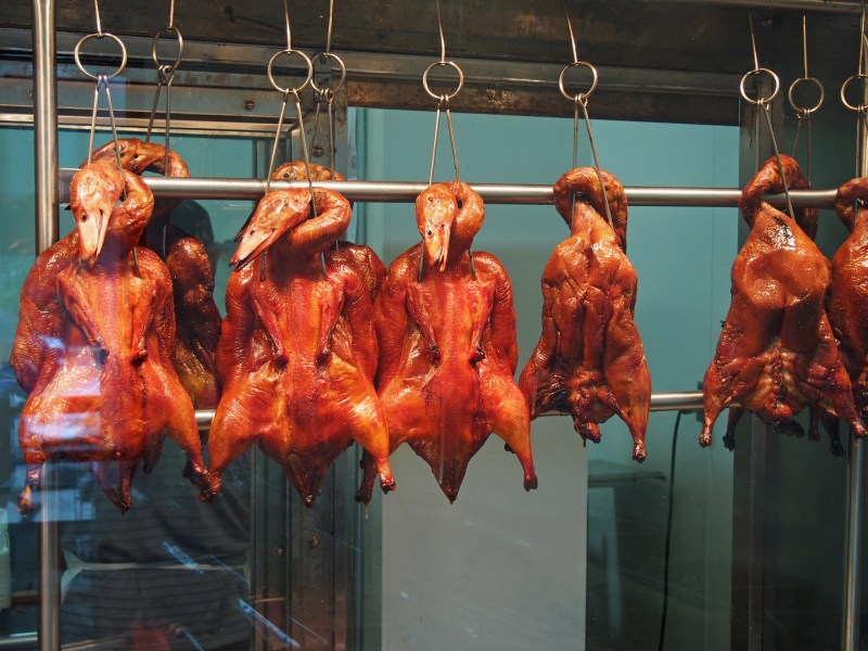 Roasted Ducks, Shuang Hur, Nicollet Ave, Minneapolis