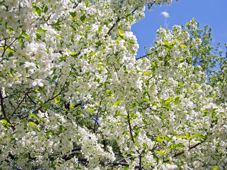 8932346463_766bd7d51f_h