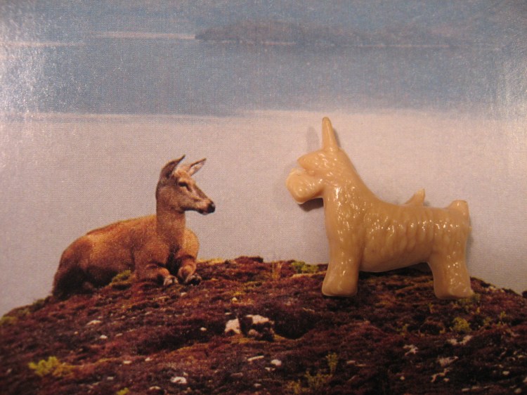 Untitled, "M.A.G.S." series